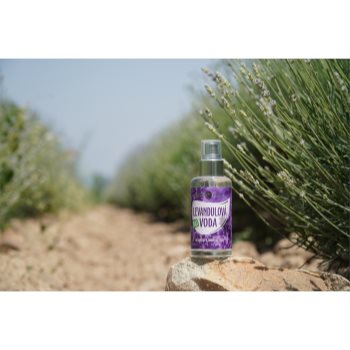 Purity Vision BIO Lavender apă de lavandă - imagine 3